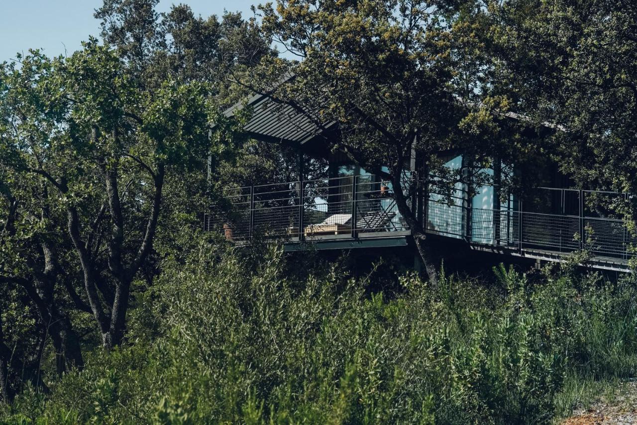Domaine Monte Verdi Flayosc Buitenkant foto