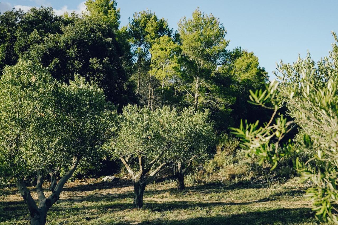 Domaine Monte Verdi Flayosc Buitenkant foto