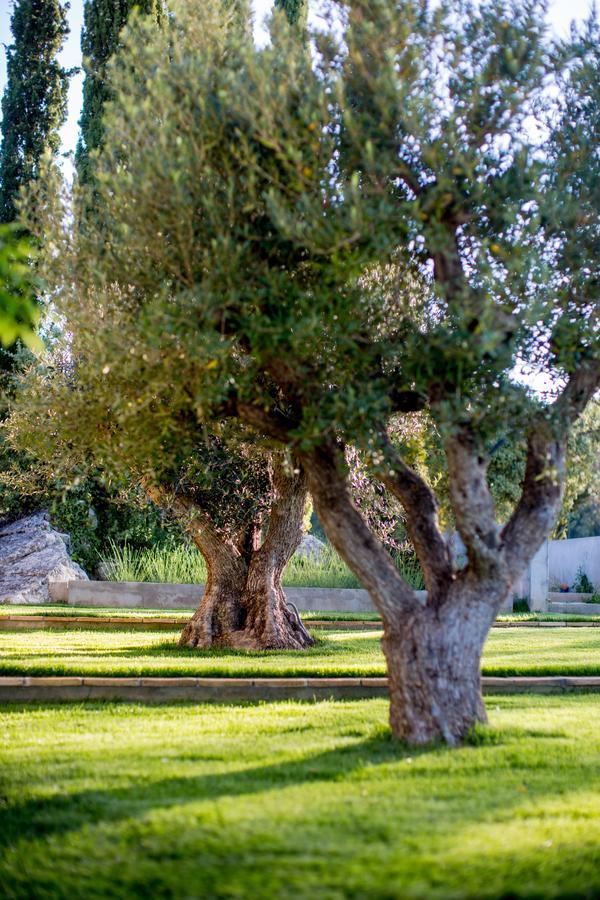 Domaine Monte Verdi Flayosc Buitenkant foto