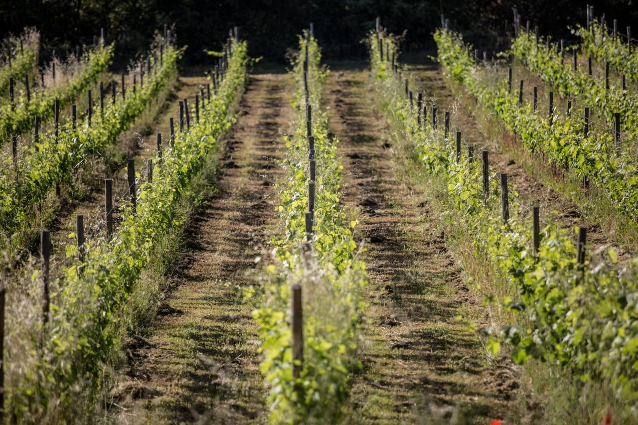 Domaine Monte Verdi Flayosc Buitenkant foto
